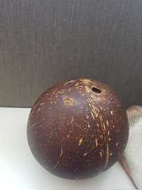 Настоящий кокос для декора