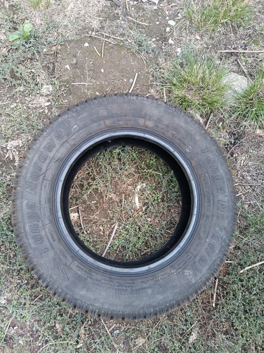 Зимние шины Tunga