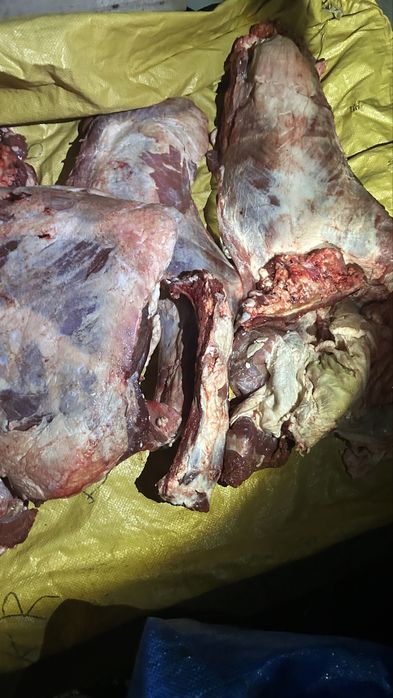 Мясо говядина пол туши