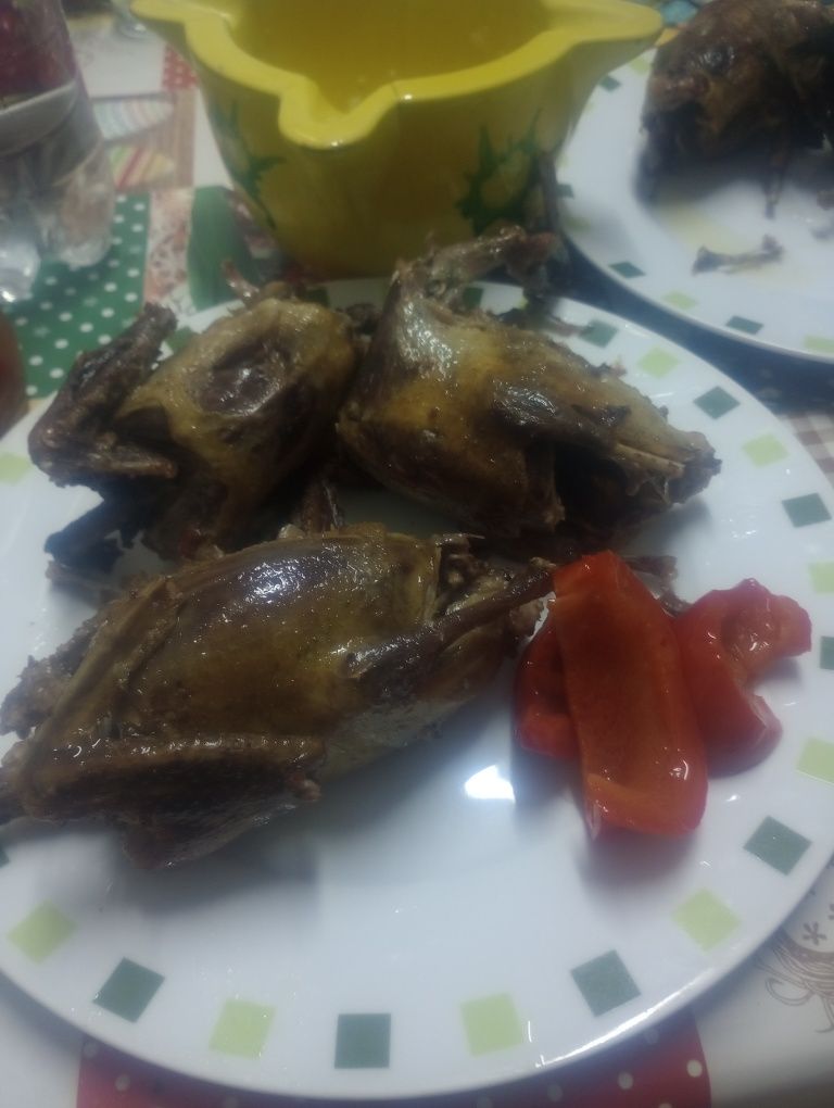 Carcasă porumbel la comanda