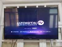 LED Телевизор 43 "PANDA"