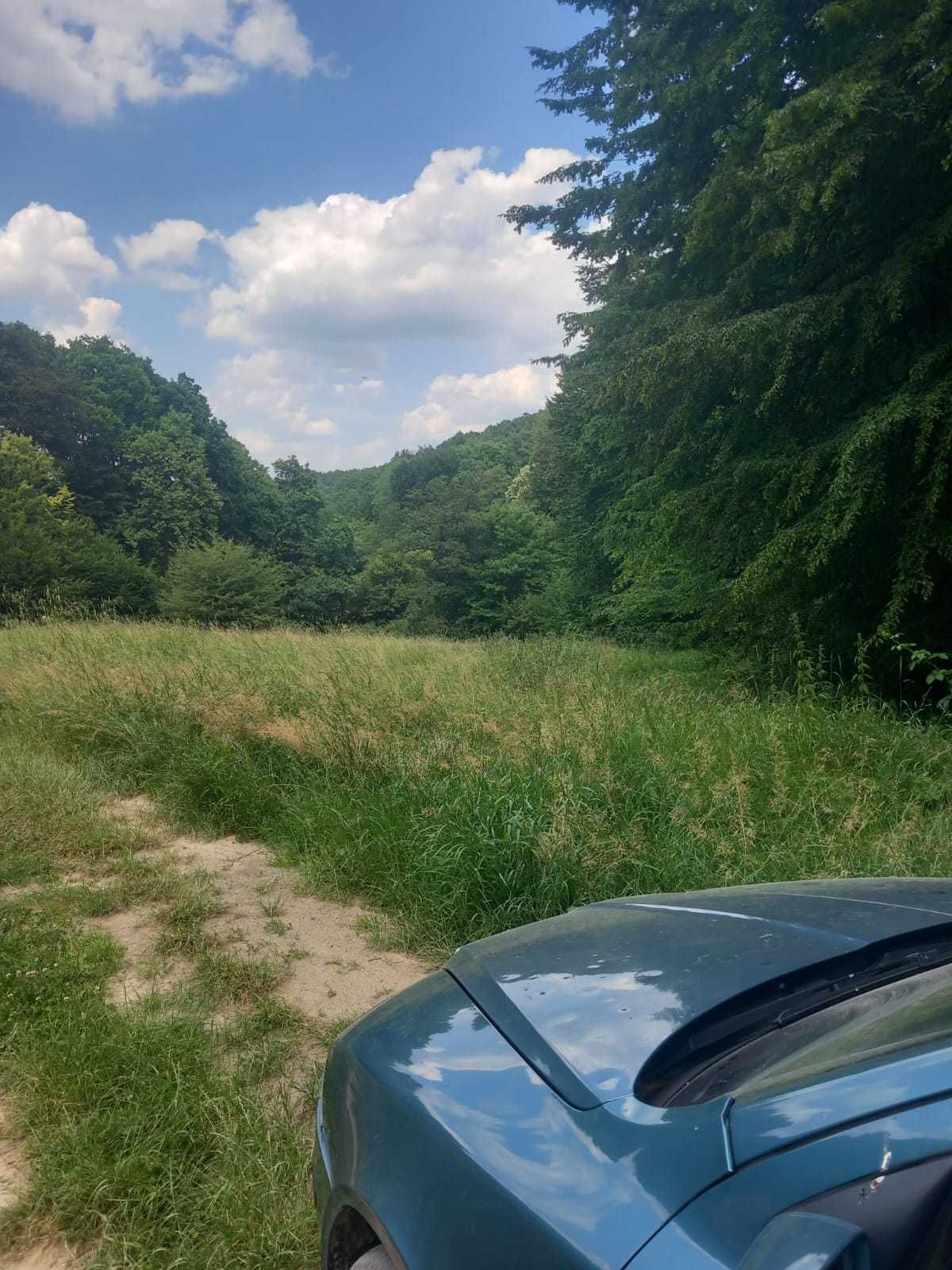 Teren extravilan