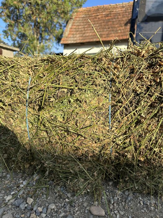 Baloți de lucernă