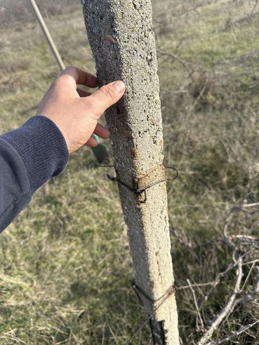 Vand spalieri 15 lei bucata