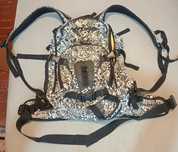 Dakine Heli Pro 20