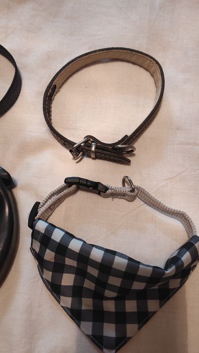 Lesa, zgarda piele și zgarda cu batic