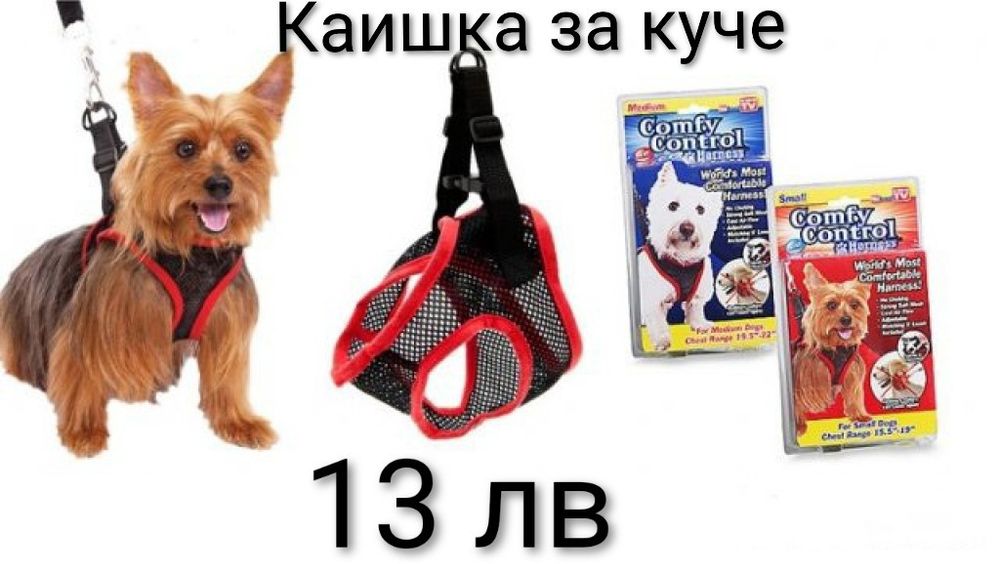 Каишка за домашни любимци