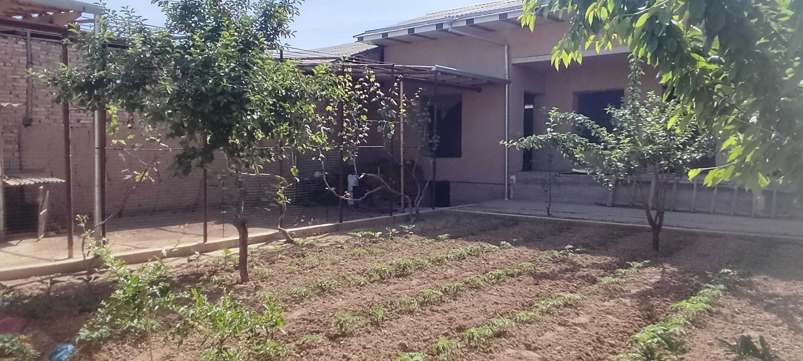 arzon yer SOTILADI 3 sotix dakumet joyida eshonguzar obod maxalla