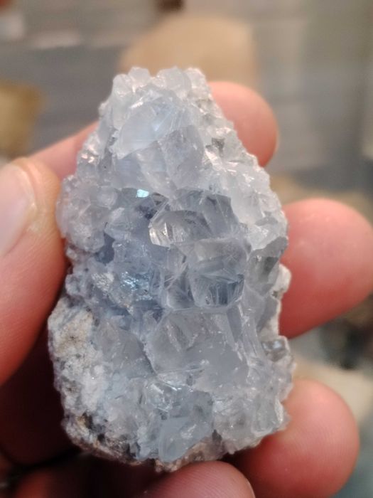 Целестин от Мадагаскар