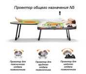 НУГА БЕСТ N5 -кроват кумуртқа поғона чурраси учун ва қон айланиши учун