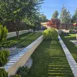 Tuns Gazon/Peluze ,Copaci