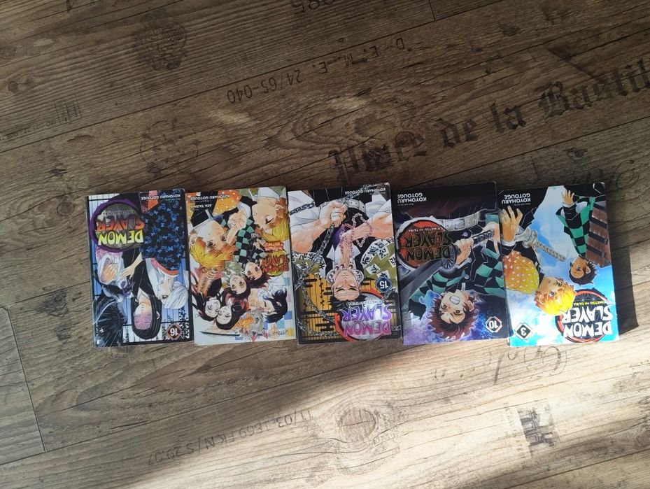 Demon Slayer manga