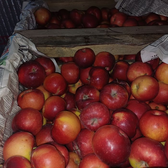 Продам яблоки 1 сорт.