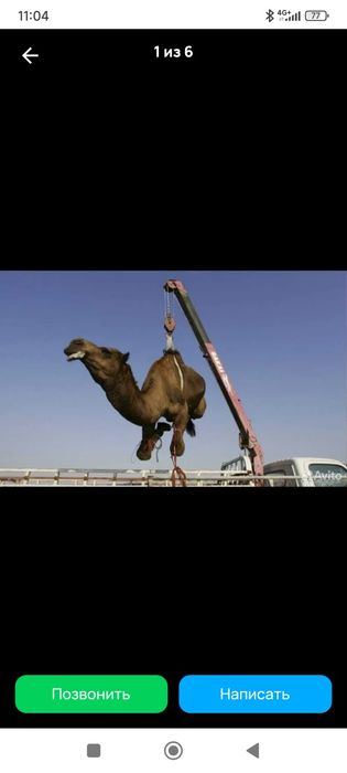 Манипулятор  хизмати 2.5 3 тонгага кран кутаради