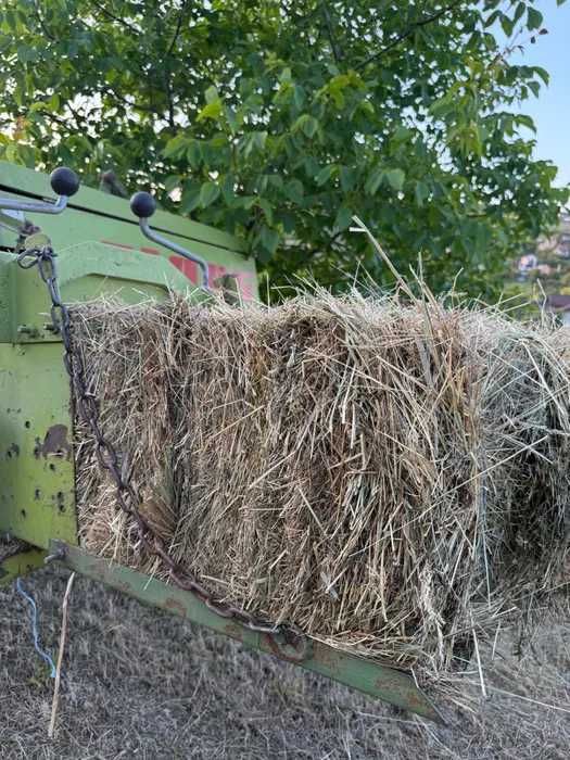 Baloti de fan dreptunghiulari, amestec trifoi, 2025