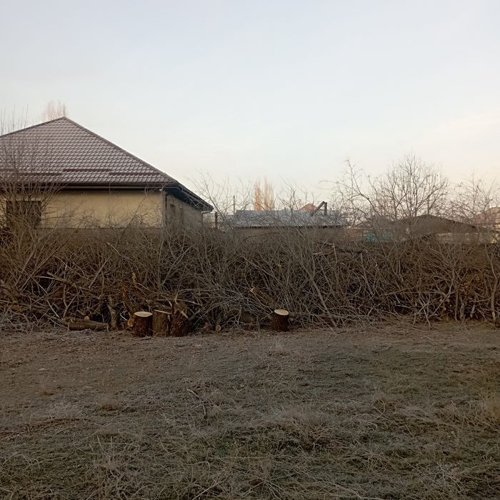 Тегін отын . Дрова даром