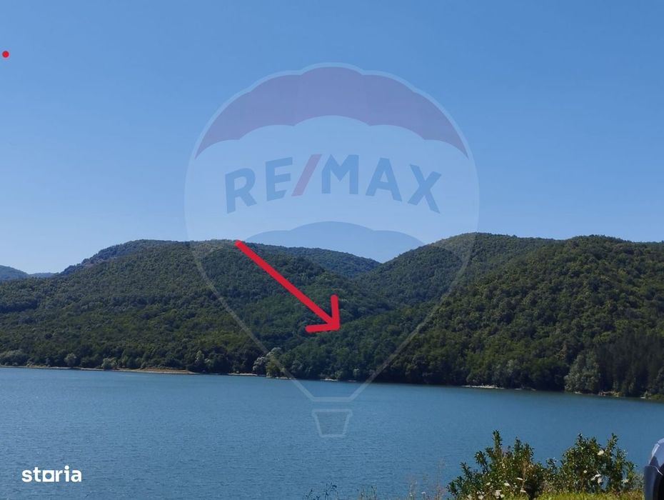 Teren  forestier  langa lacul Cincis, jud Hunedoara