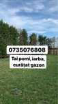 Tai copaci, arbori, toaletam, tundem gazon