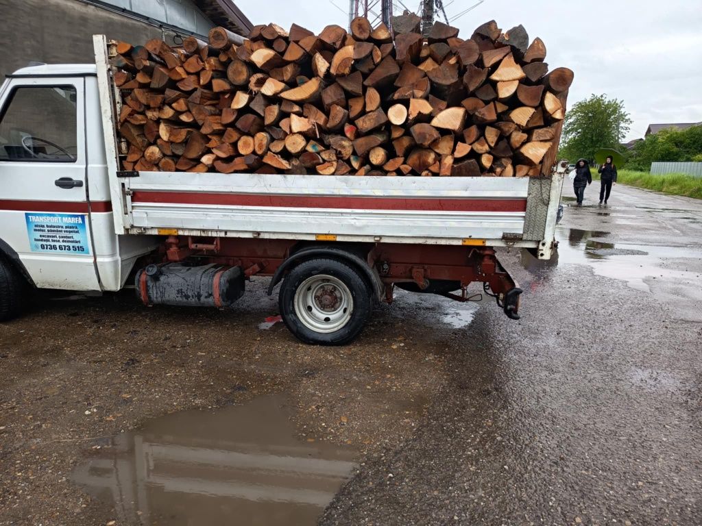 Vând Lemn de foc esență tare (fag)