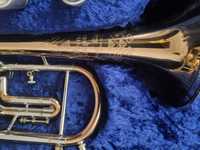 trompeta/fligorn