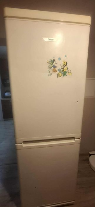 Хладилник Зануси 200лв