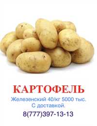 Картофель