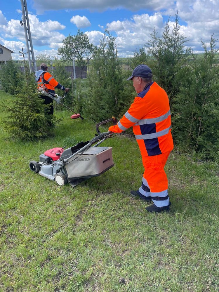 Servicii de gradinarit, tunderea si intretinerea gazonului, defrisare