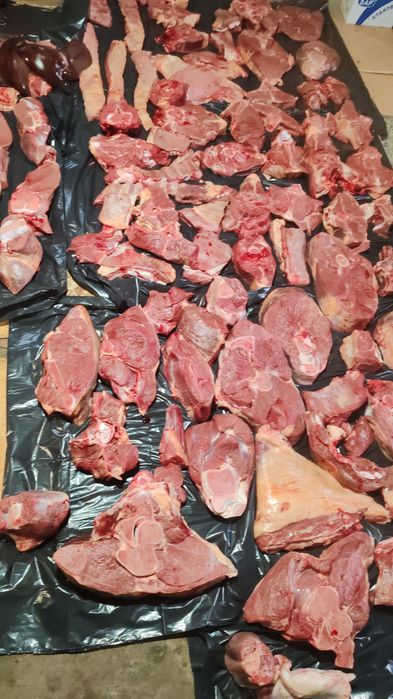 Жабагы еті на күздік