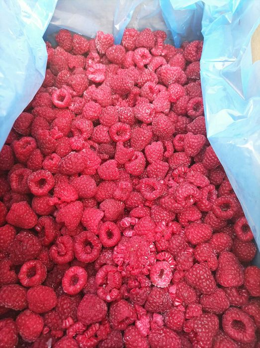 Замразени Манатарки,Горски плодове