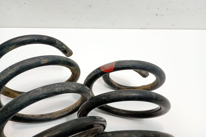 Set arcuri spate Dacia Logan prima generatie