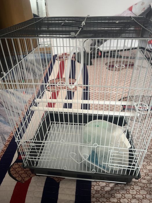 Прдам клеику для попугай или птиц