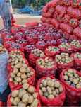 Продам картофель домашний