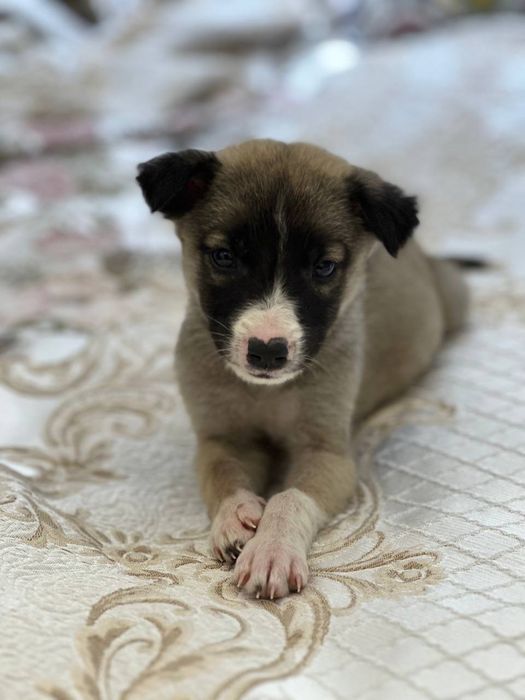 Малышам срочно нужен дом и семья!