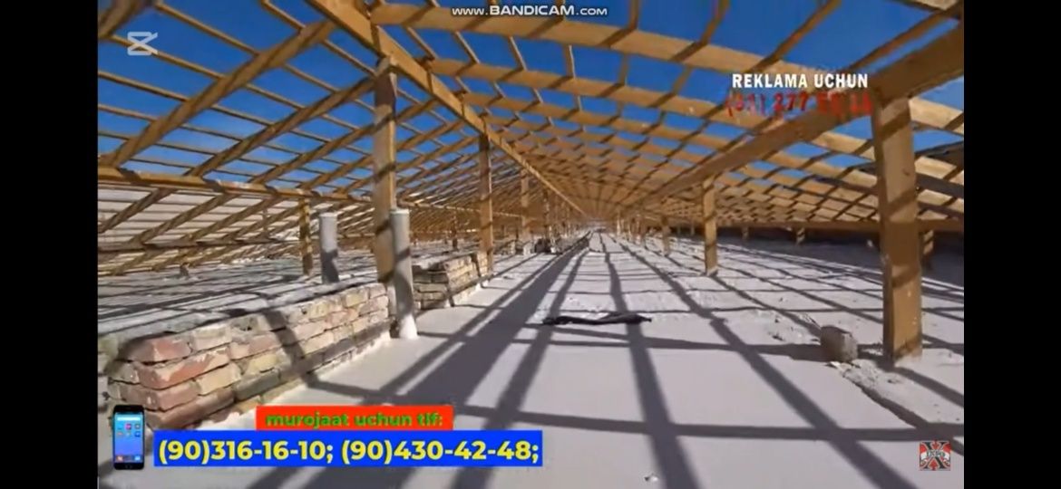 Peno lomboz, Tom quyish, Том Шувок Palesterol lomboz,