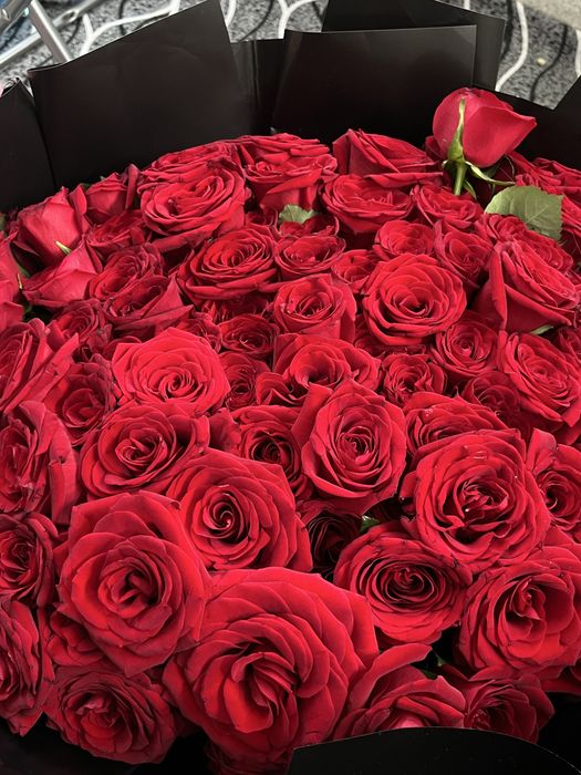 101 роза цветов,  в подарок 70 шариков