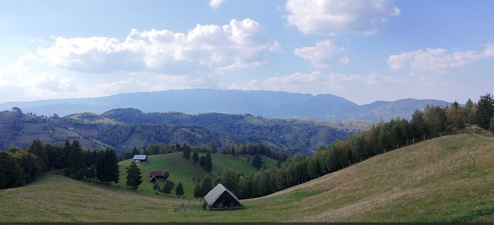 Teren superb, zona Simon/Bran, extravilan