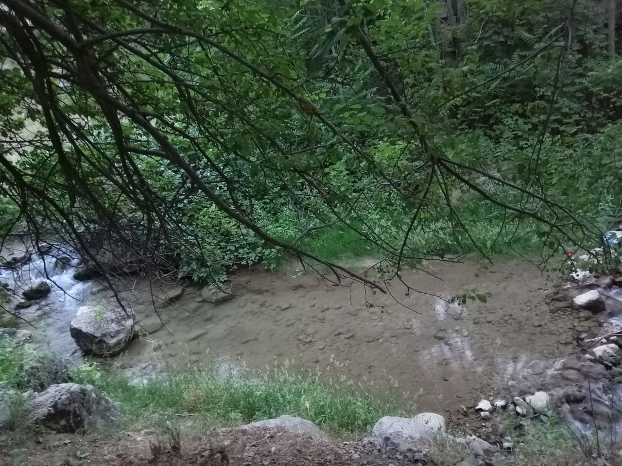 Тапчан сув буйда
