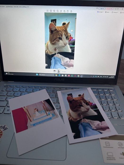 Imprimantă Epson L1230