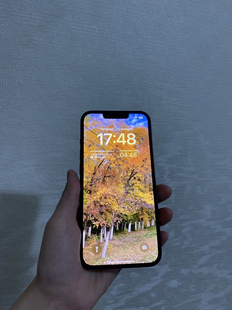 IPhone 13 128gb черный