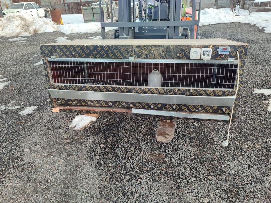 Брудер балапан для выращивания цыплят