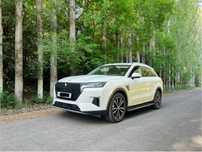 Nissan Venucia  sotiladi