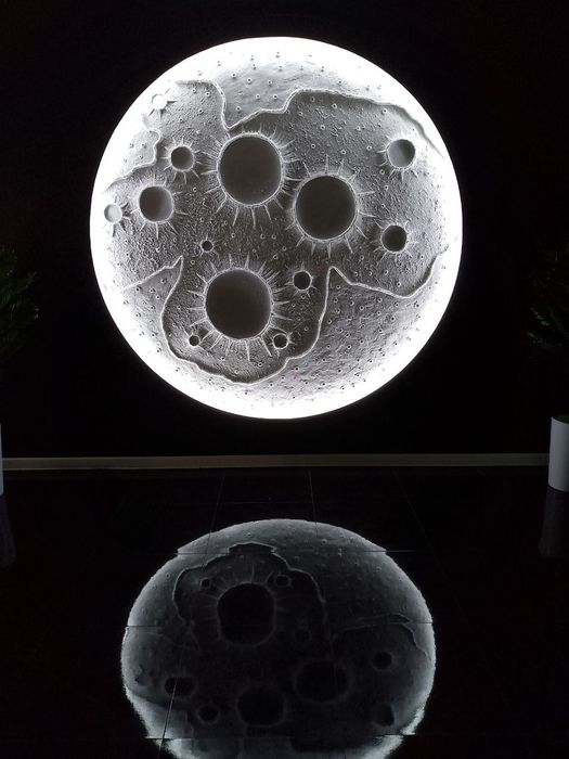 Сифатли декоратсия,отточенто ва малярка хизматлари