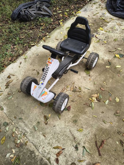 Vand kart stare buna, varsta 6-7 ani