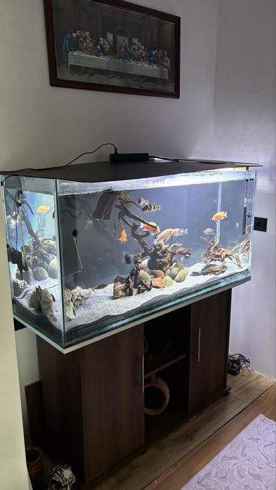 Acvariu nou 340 litri