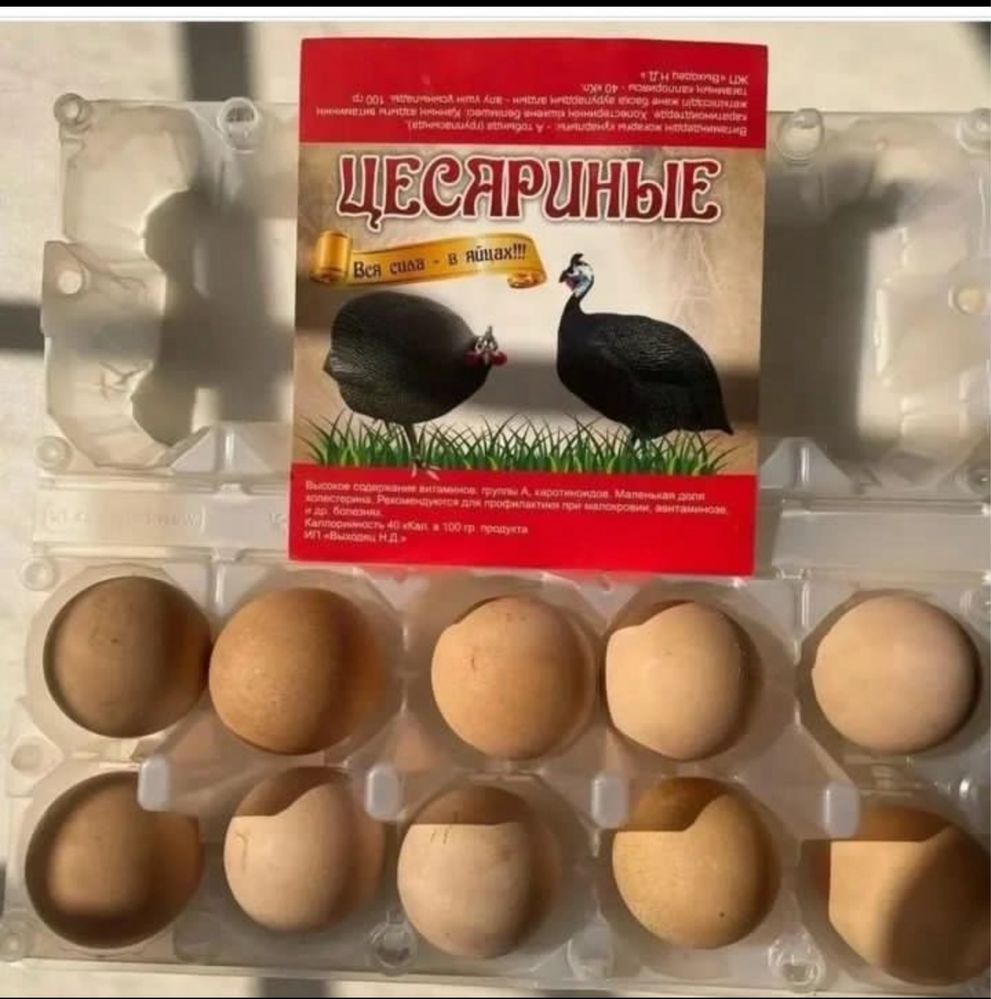 Продам цесариные яйца