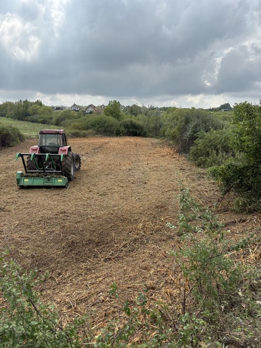tocat forestier , curatire terenuri cu vegetatie necontrolata