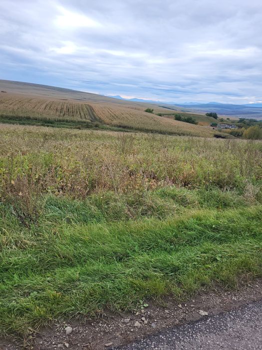Teren de vanzare sat Rediu intravilan