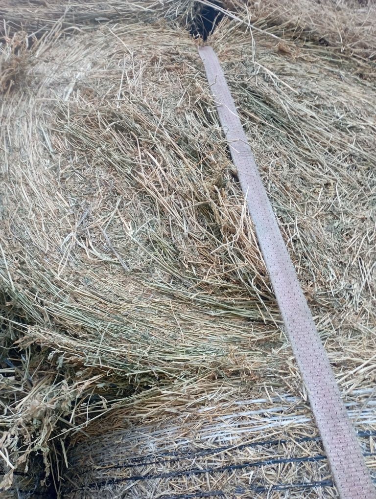 Baloți de lucernă de vânzare 120 120 rotunzi ,350