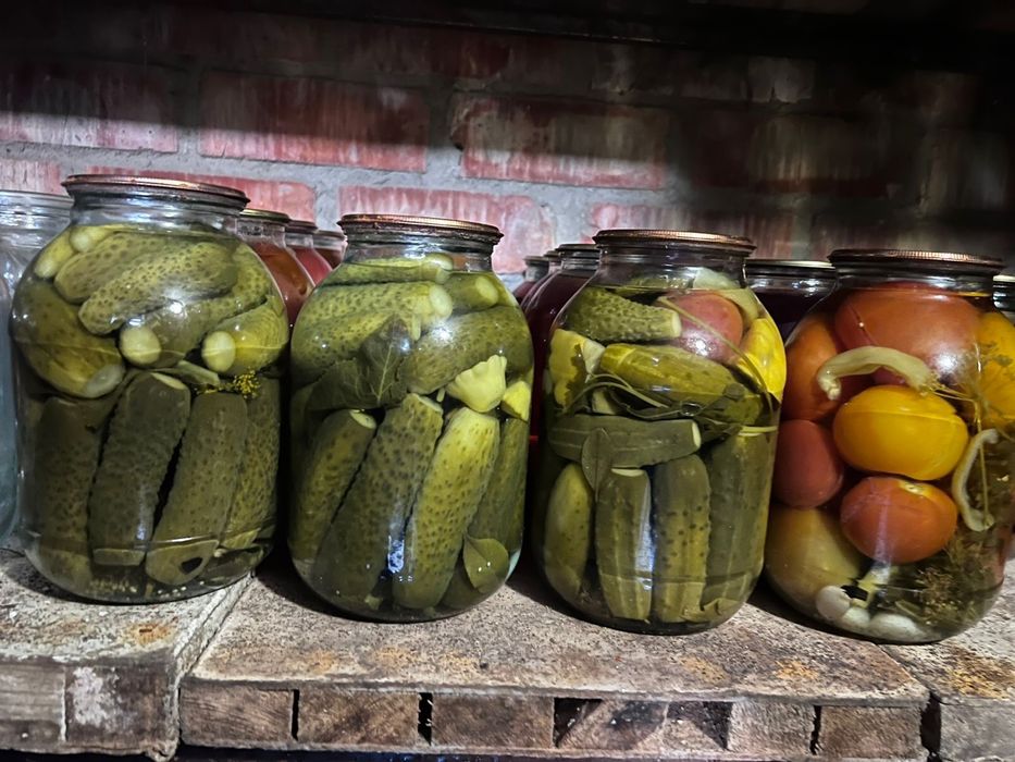 Соление домашние