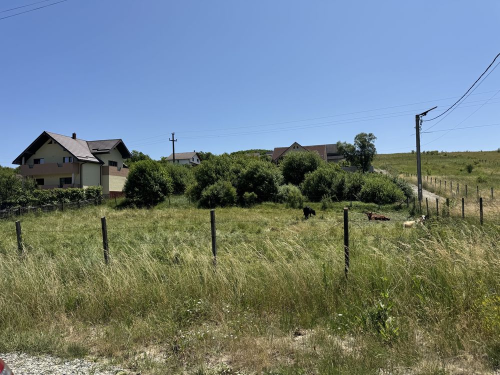Parcela teren Bistrita
